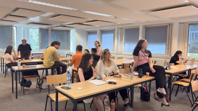 Summer School Plain Language, AI Literacy and Democracy in the EU June 2026