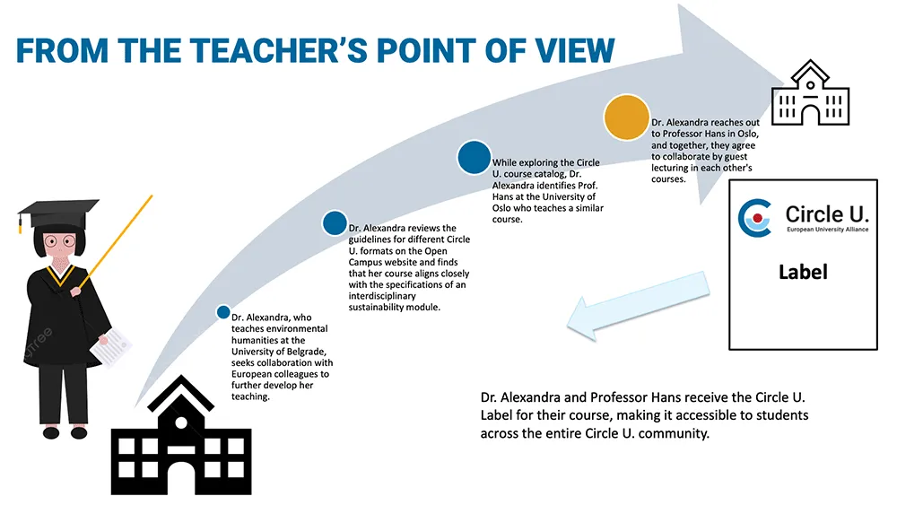 Illustration of an academics user journey when teaching abroad