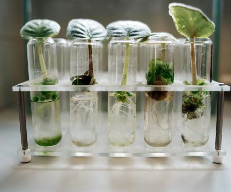 Photo Open conversation one health