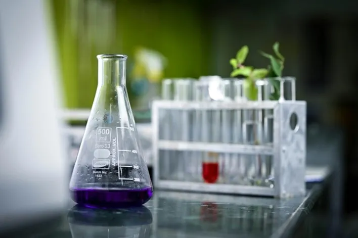 UCL-Course-From Impact to Action-2026_CC-Pexels