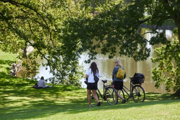 Student life in the University Park at AU